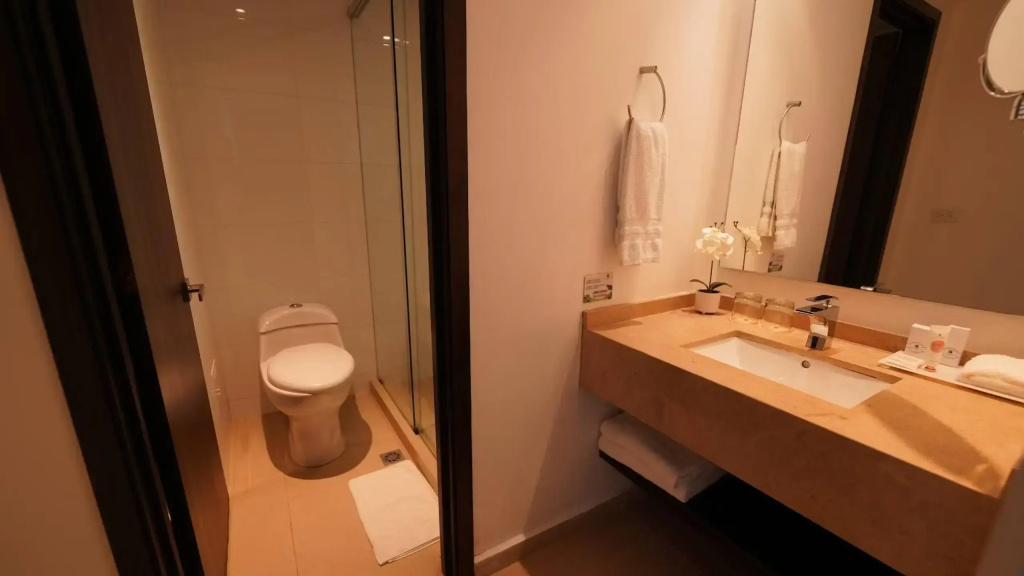 Hotel Morrison Zona Rosa - Chambres