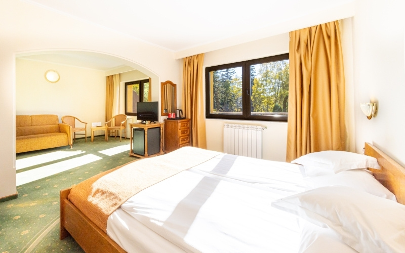 Hotel Casa Viorel - Chambres