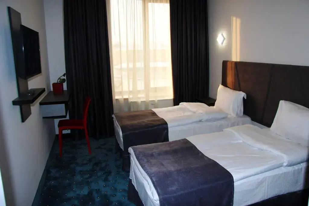 Standard Double room (twin beds)