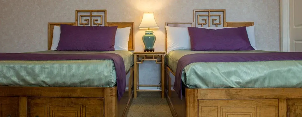 Deluxe Double room (twin beds)