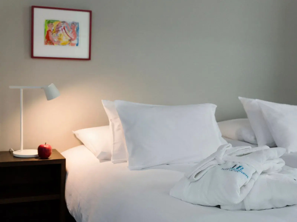 Boutique Hotel Helmhaus Zurich - Chambres
