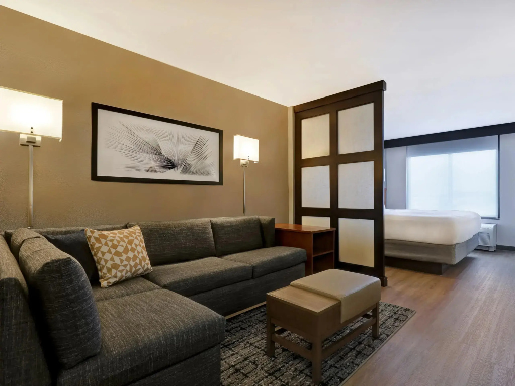 Hyatt Place San Antonio–North/Stone Oak - Chambres