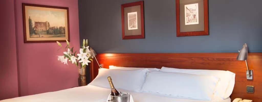 Segovia Sierra de Guadarrama Hotel - Chambres