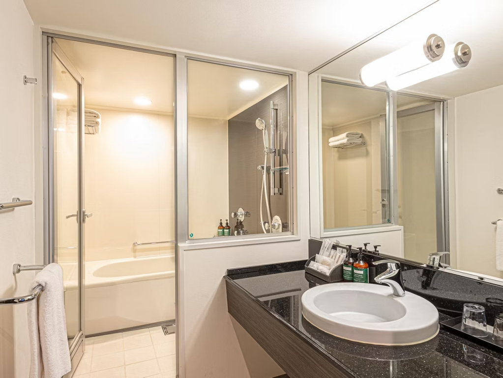 ANA Crowne Plaza Fukuoka by IHG - Chambres