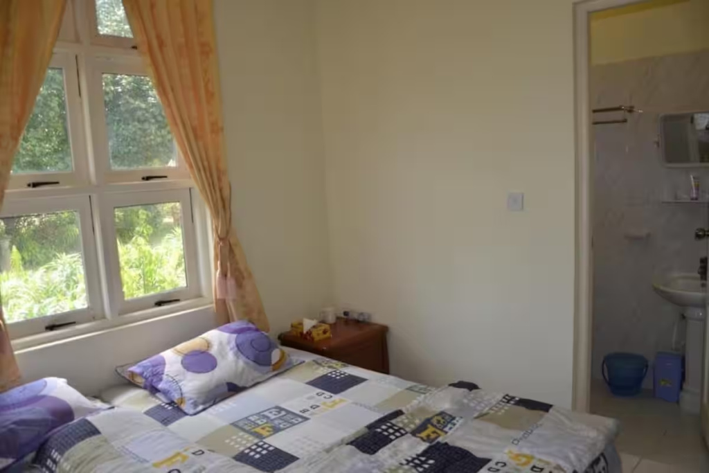 Basic Double room (twin beds)