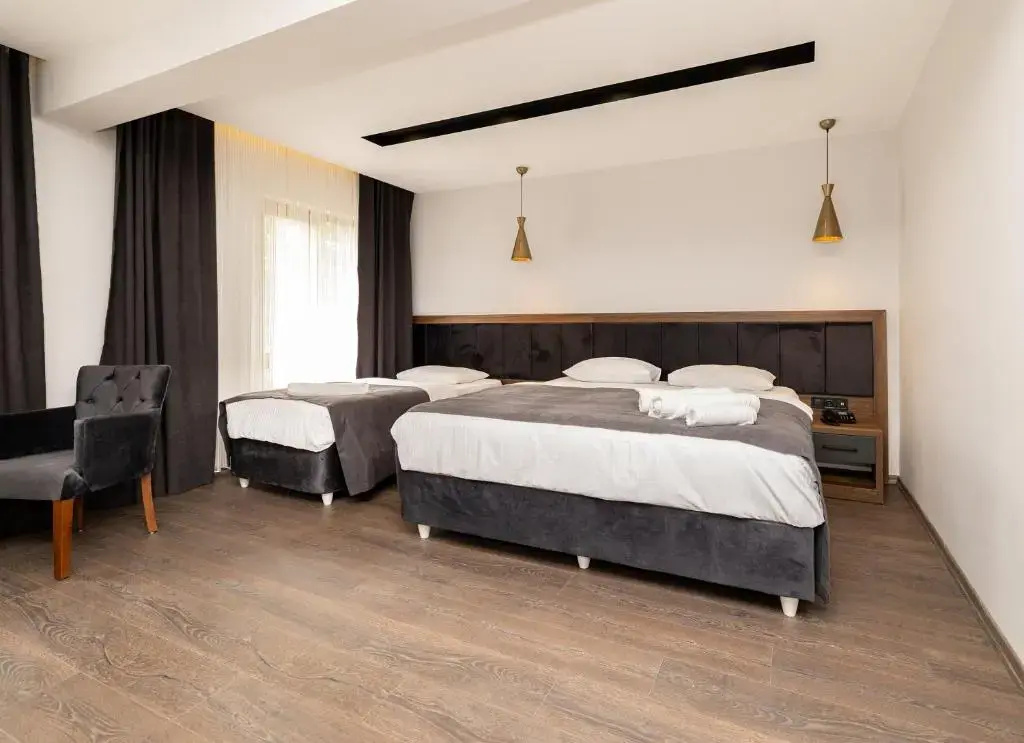 Deluxe Triple room