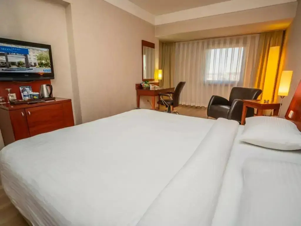 Anemon Eskisehir Hotel - Chambres