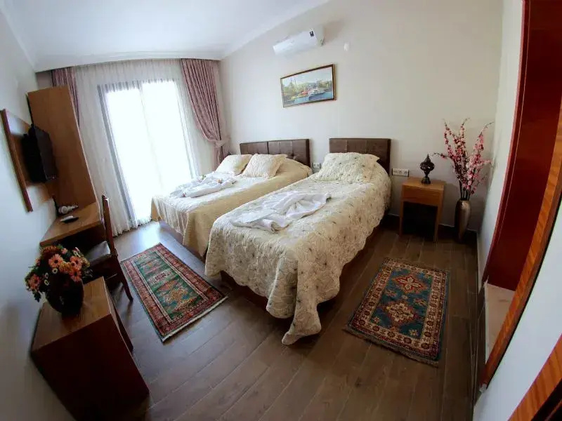 Deluxe Double room (twin beds)
