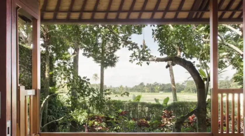 Mason Elephant Lodge - Chambres