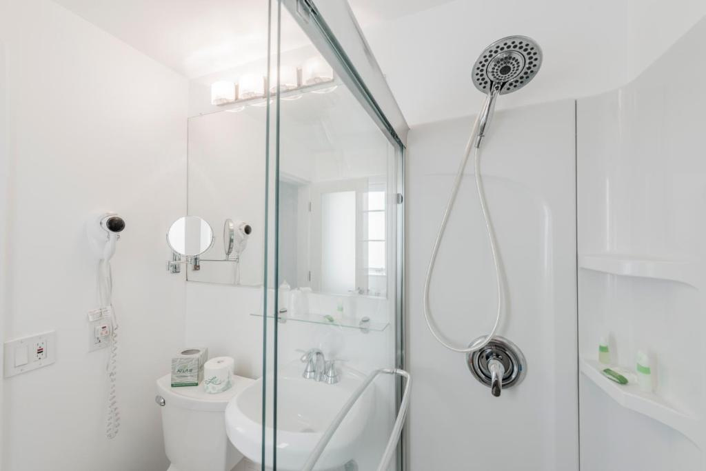 The Penguin Hotel - Chambres