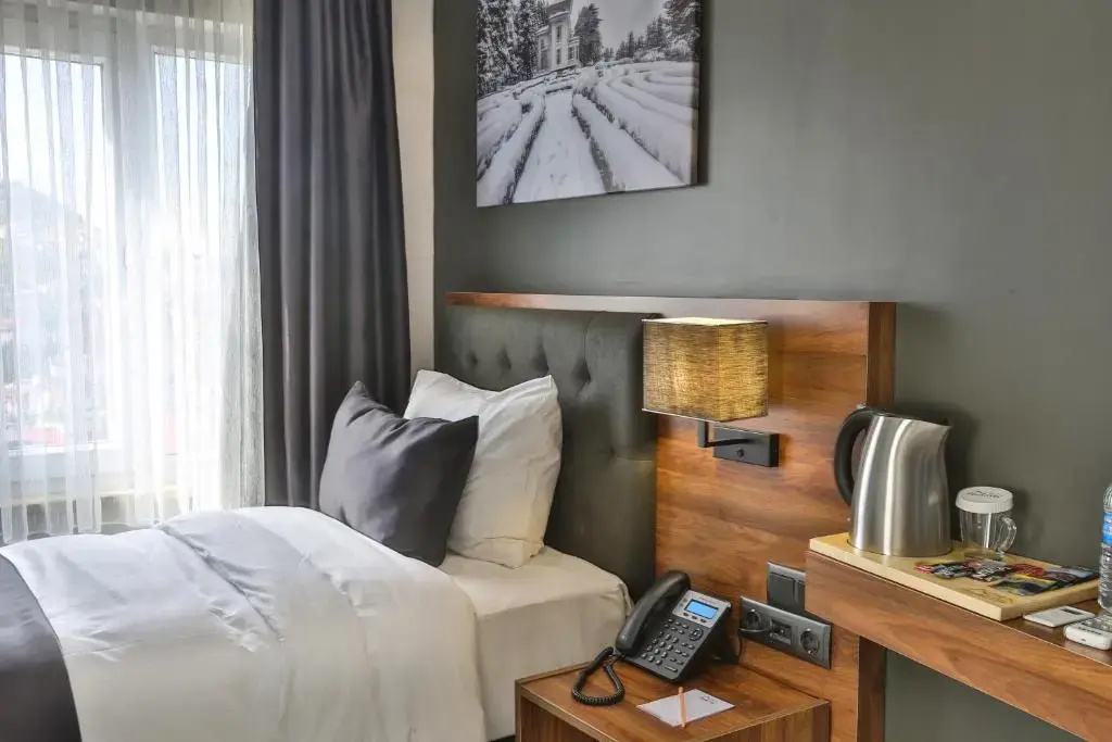 Standard Single room