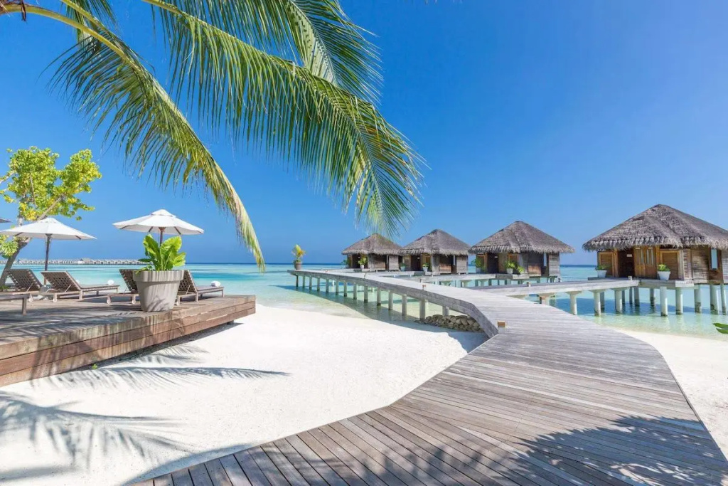 Курорт Lux South Ari Atoll  — фото