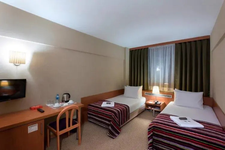 Standard Double room (twin beds)