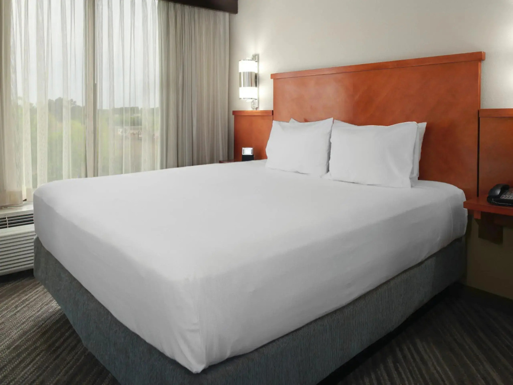 Hyatt Place Detroit/Auburn Hills - Chambres