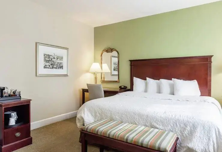 Hampton Inn & Suites Birmingham-Downtown-Tutwiler - Chambres
