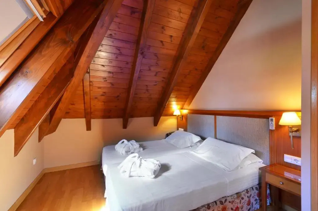 Hotel Acevi Val d'Aran - Général