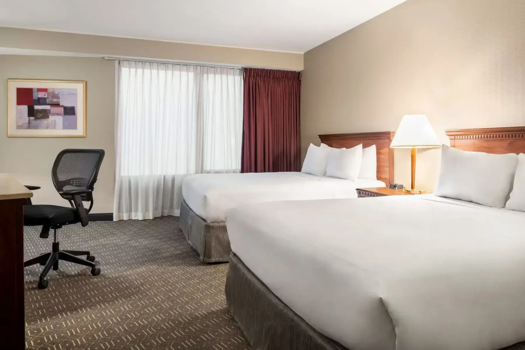 Wyndham Springfield City Centre - Chambres