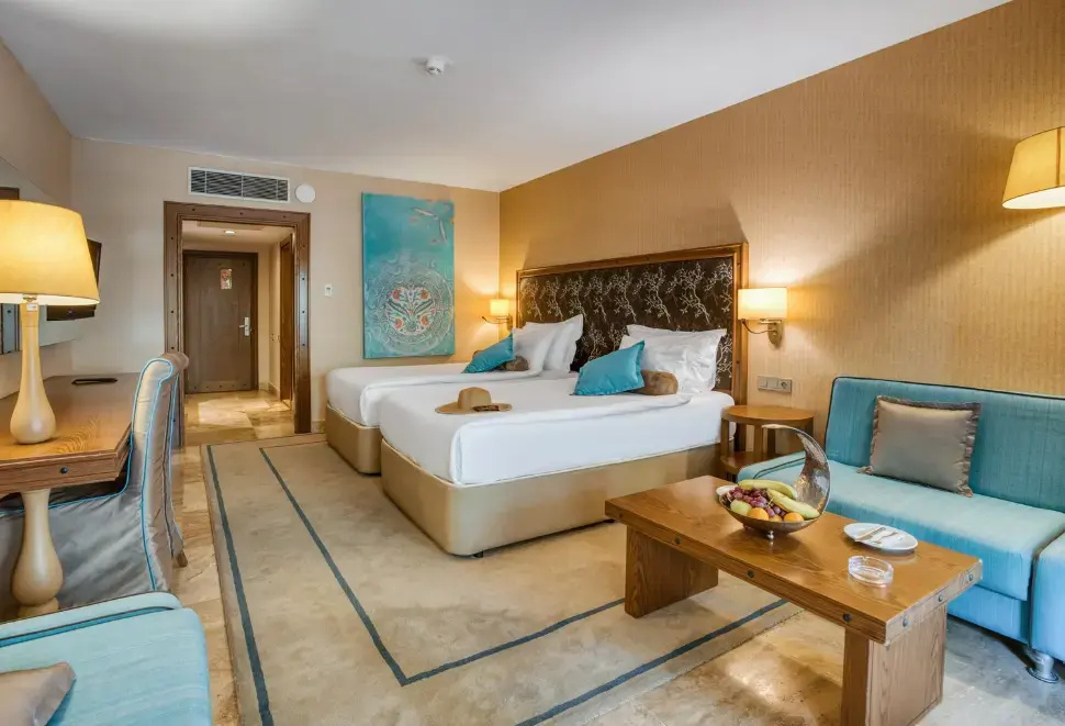 Deluxe Double room (twin beds)