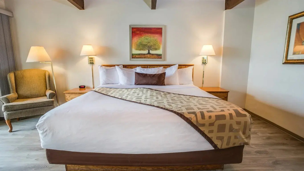 Pet Friendly room with balcony and with ocean view