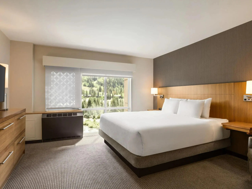 Accessible Suite