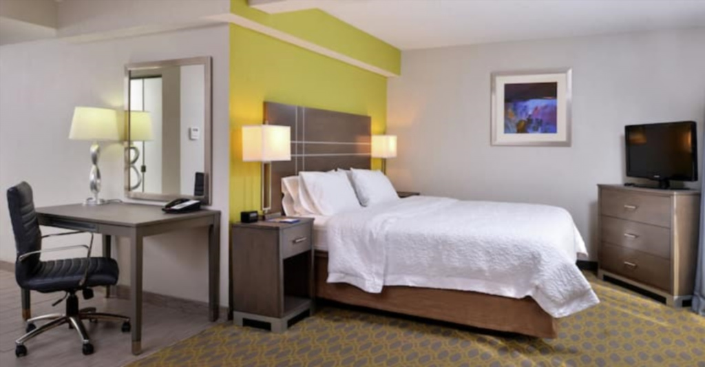 1 Bedroom Sofa bed Double Suite (full double bed)