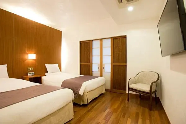 Deluxe Double room (twin beds)