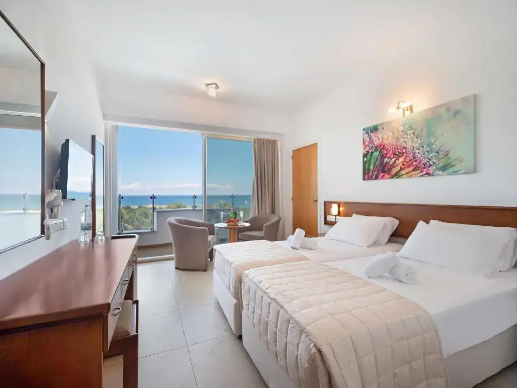 Standard Double room (twin beds)