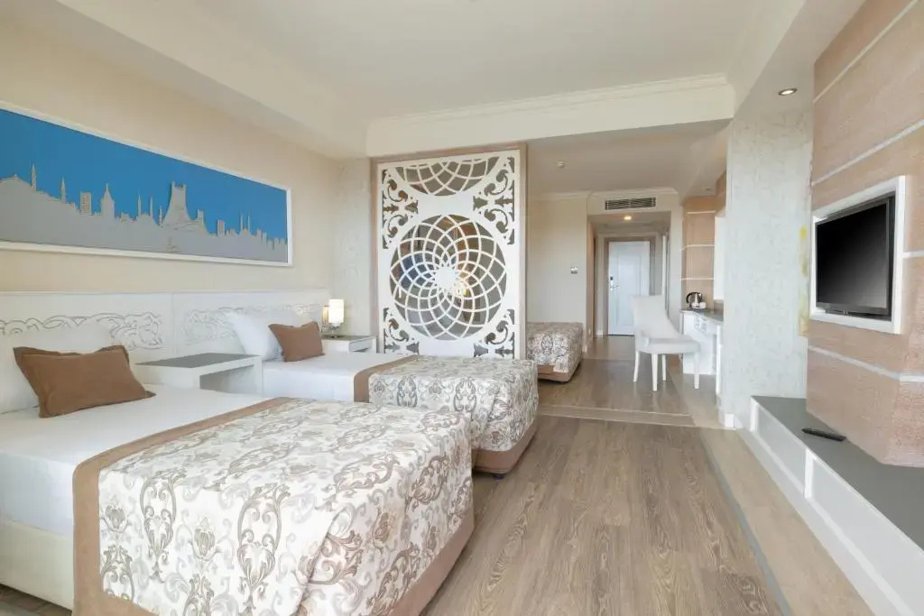Standard Large room