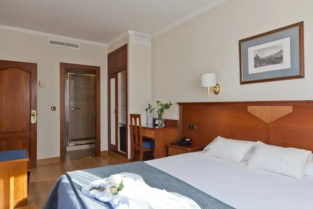 Hotel Porcel Alixares - Chambres