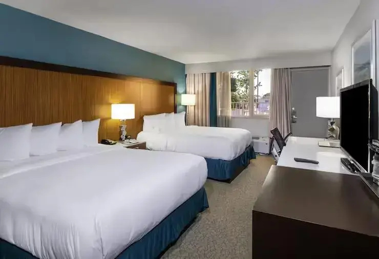 DoubleTree by Hilton Hotel Jacksonville Airport - Chambres