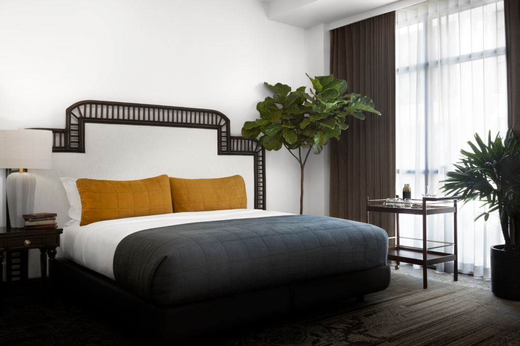Park ADA Double Suite (full double bed)