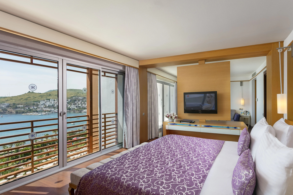Double Junior Suite (full double bed)