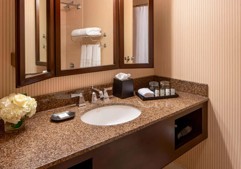 Sheraton Houston Brookhollow Hotel - Chambres