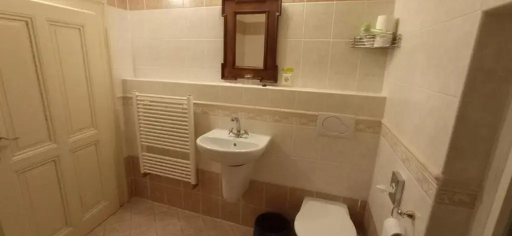 Hotel U Zlateho Jelena - Général