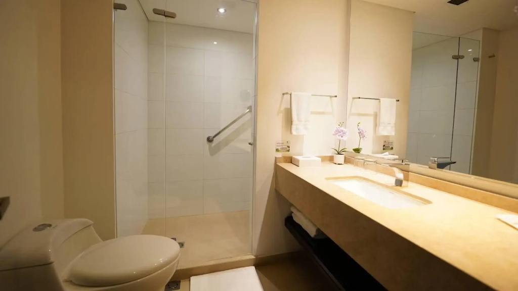 Hotel Morrison Zona Rosa - Chambres