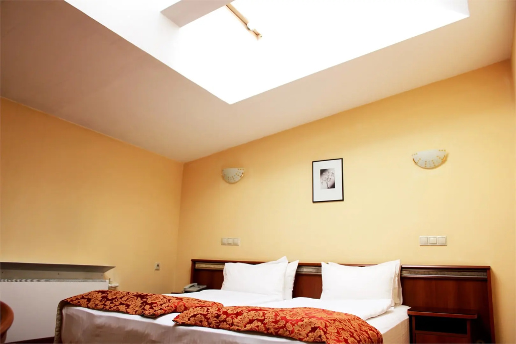 Business M Double Attic room (full double bed)