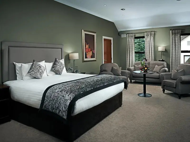 Oranmore Lodge Hotel, Conference and Leisure Centre - Chambres