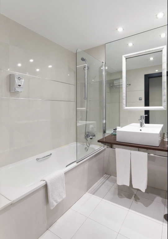 IBERIK Hotel Santo Domingo Plaza - Chambres