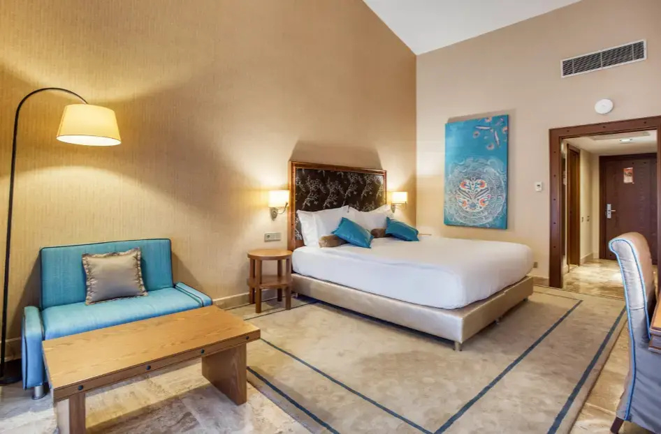 Deluxe Double room (full double bed)