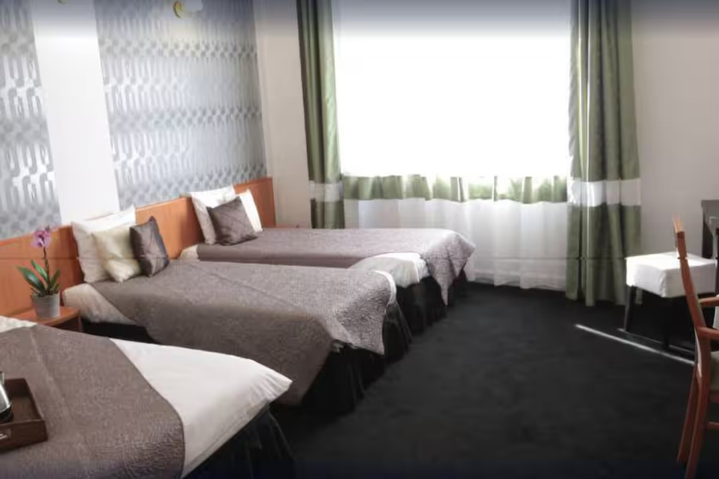 Deluxe Triple room with river view