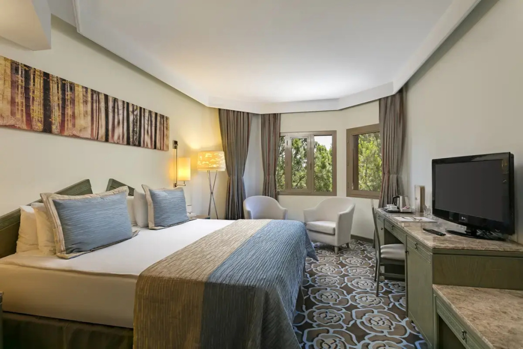 Double Junior Suite (full double bed)