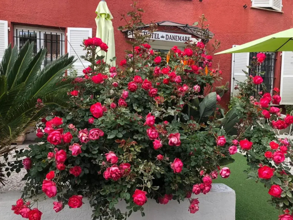 Hotel photo 32