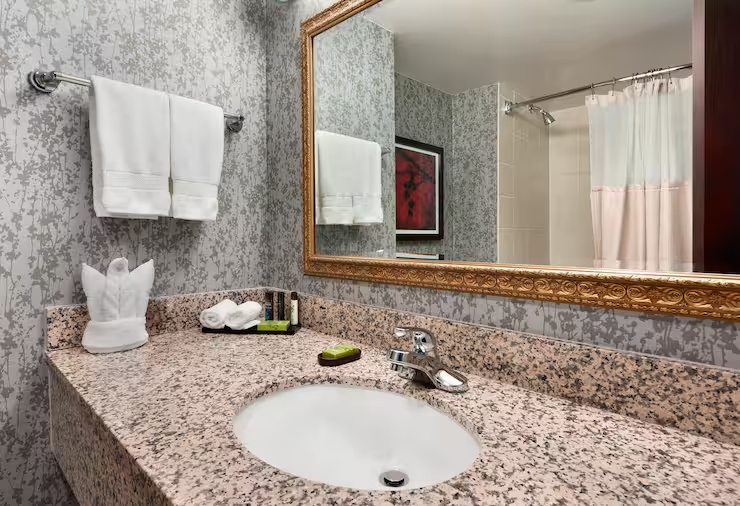 Embassy Suites by Hilton Dulles Airport - Chambres