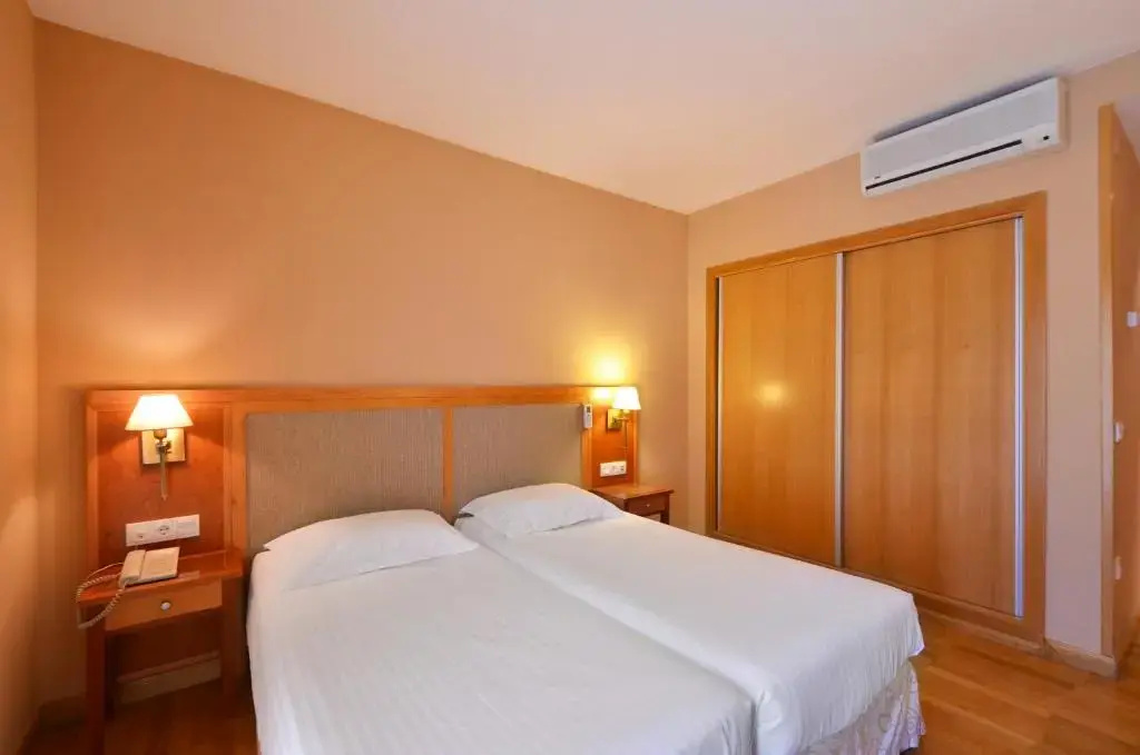 Hotel Acevi Val d'Aran - Général