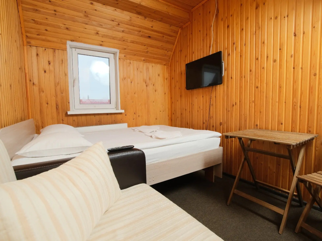 Comfort Eco Siberia Hotel Double room (full double bed)