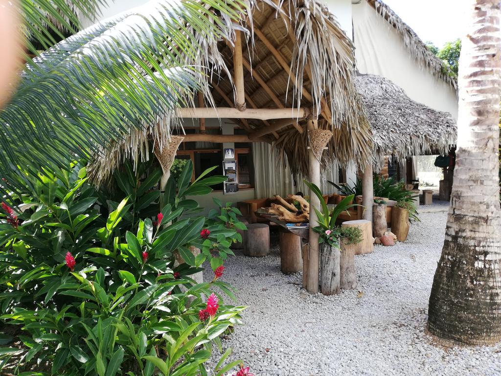 Hotel - Residencia El Balata by null