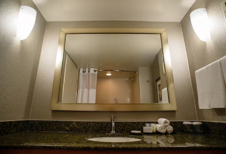 Embassy Suites by Hilton Detroit Livonia Novi - Chambres