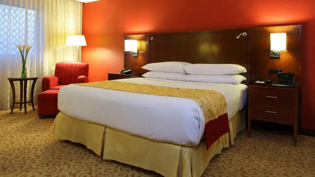 1 Bedroom Double Junior Suite with city view full double bed