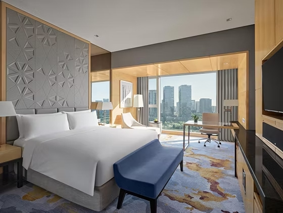 Premium Double Club room with city view (full double bed)