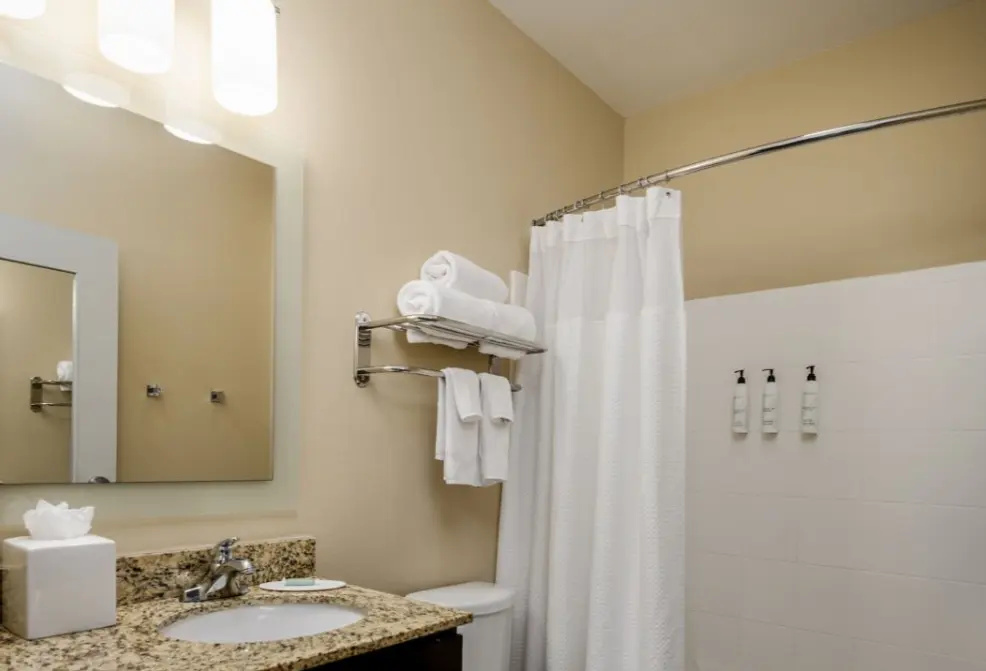 Towneplace Suites by Marriott Houston Galleria Area - Chambres